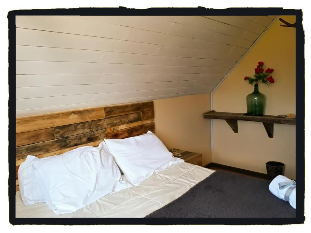 La Llar Hostel Panguipulli Bagian luar foto